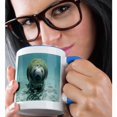 thumbnail image 2 of 3drose, Manatee N Fishes Underwater, 15oz Two-tone Blue Mug, 2 of 6