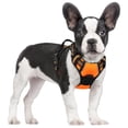 thumbnail image 1 of Arnés para perros Rabbitgoo, sin tirones, ajustable para perros pequeños, 1 of 8