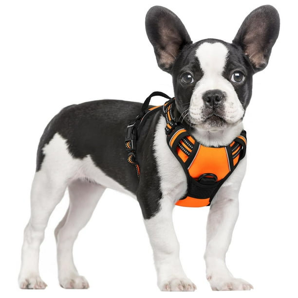 Arnés para perros Rabbitgoo, sin tirones, ajustable para perros pequeños