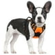 thumbnail image 1 of Arnés para perros Rabbitgoo, sin tirones, ajustable para perros pequeños, 1 of 8