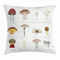thumbnail image 1 of Mushroom Throw Pillow Cushion Cover, Colorful Fungi Pattern Blusher Boletus Sketch Style Plants Autumn Illustration, Decorative Square Accent Pillow Case, 24 X 24 Inches, Multicolor, by Ambesonne, 1 of 2