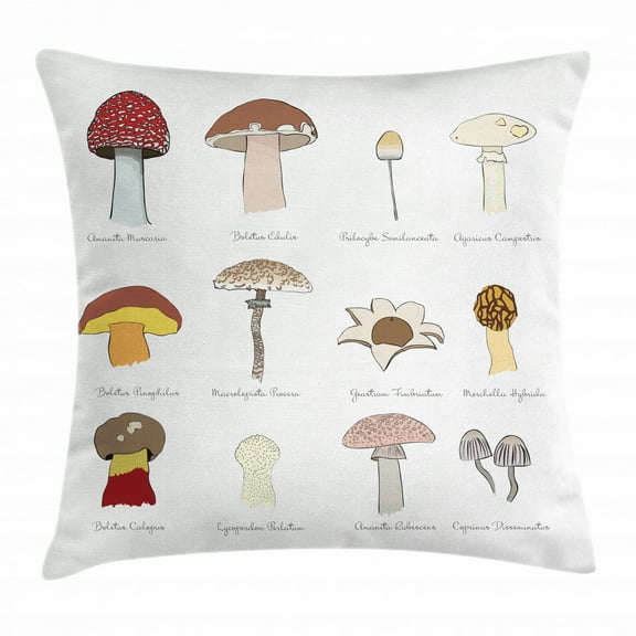 Mushroom Throw Pillow Cushion Cover, Colorful Fungi Pattern Blusher Boletus Sketch Style Plants Autumn Illustration, Decorative Square Accent Pillow Case, 24 X 24 Inches, Multicolor, by Ambesonne