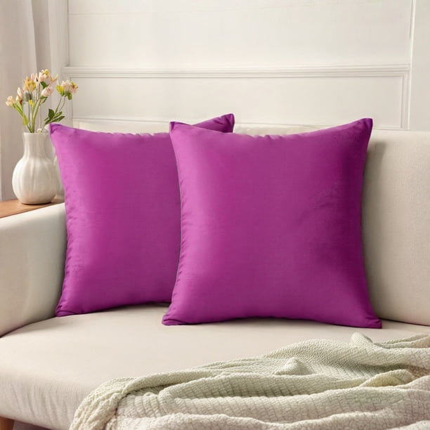 REGALWOVEN Pack de 2 fundas de cojín decorativas de terciopelo con cremallera morado 18" x 18"