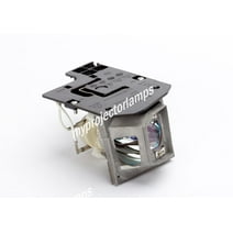 Optoma HD20 Projector Lamp with Module