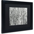 thumbnail image 2 of Trademark Fine Art "Winter Aspens" Canvas Art by Roderick Stevens Black Mat, Black Frame, 2 of 4
