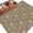 Beige, variant on Khaki Daisy Area Rugs Collection 2'x3', Modern Farmhouse Chrysanthemum Floral Non Slip Indoor Rectangle Throw Runner Rug Floor Mat Carpet for Living Room Dining Table Bedroom Nursery