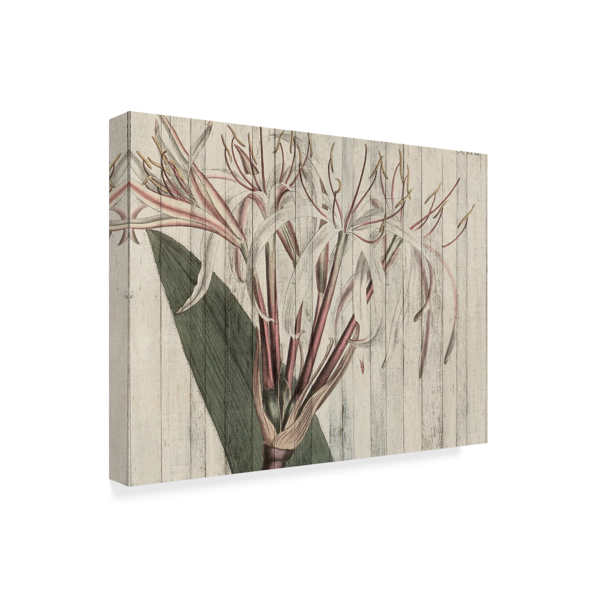 Trademark Fine Art 'Rustic Floral I' Canvas Art by Studio W