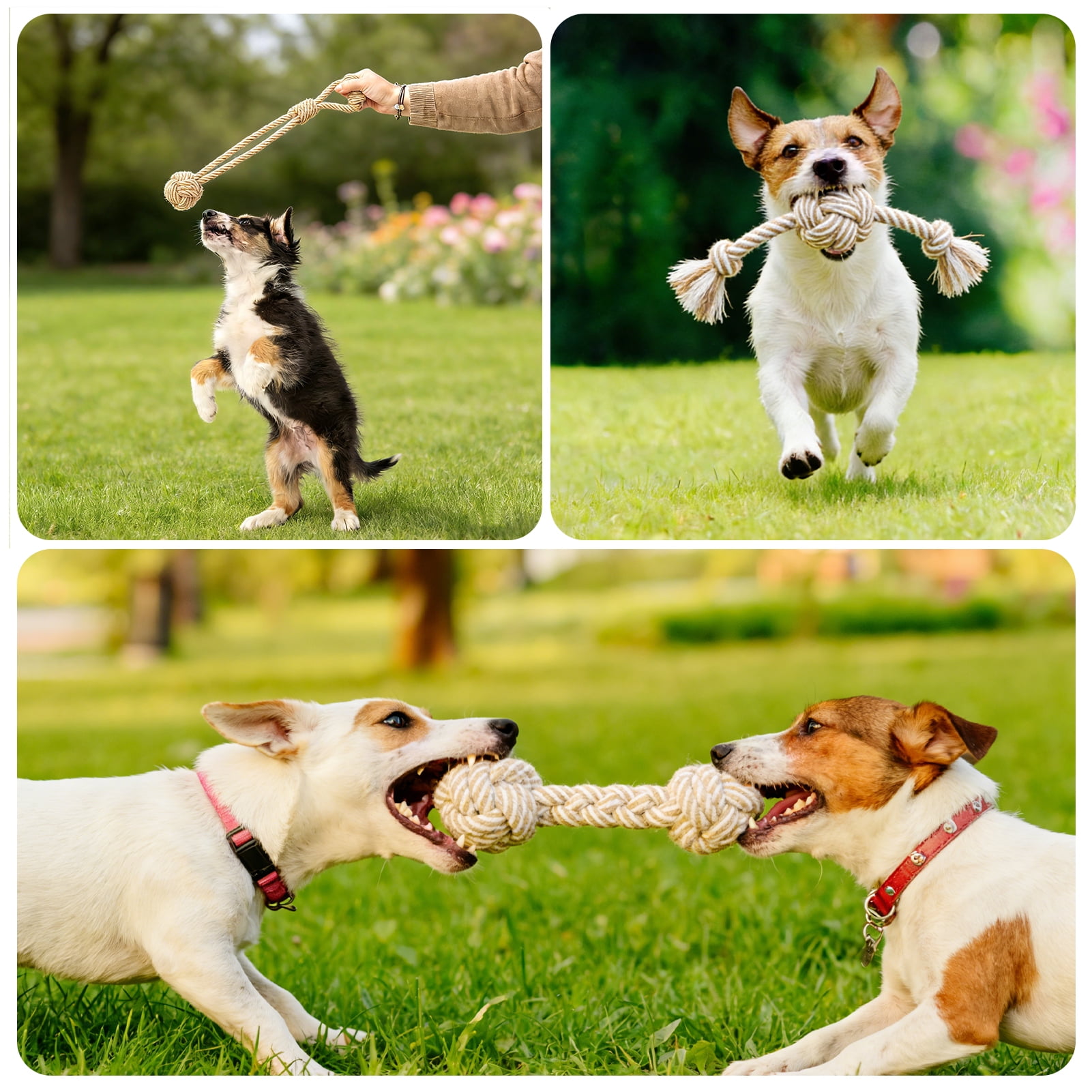 Easy Joy 5pcs Dog Rope Toy for Small Dog Natural Chew Toys for Puppy Medium & Small Dogs Tug of War Rope for Puppies Clean & Relieve Teething