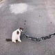 thumbnail image 5 of Correa de cadena falsa para perro grande, correa divertida de 198 cm, juguete para perro, material plástico, imita cadenas de hierro, solo para perros pequeños, gatos y cachorros. Incluye collar para, 5 of 6
