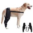 thumbnail image 1 of Adjustable Black XS Dog Hind Leg Brace - SBR Material Pet Knee Support Wrap for Arthritis Recovery, Injury Protection & Wound Licking Prevention - Comfortable Joint Guard with Shockproof & Heat, 1 of 6