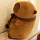 thumbnail image 4 of 30 cm Bufanda extraíble Capybara Plush Toy lindo Capybara Ornament Decoración suave, 4 of 9