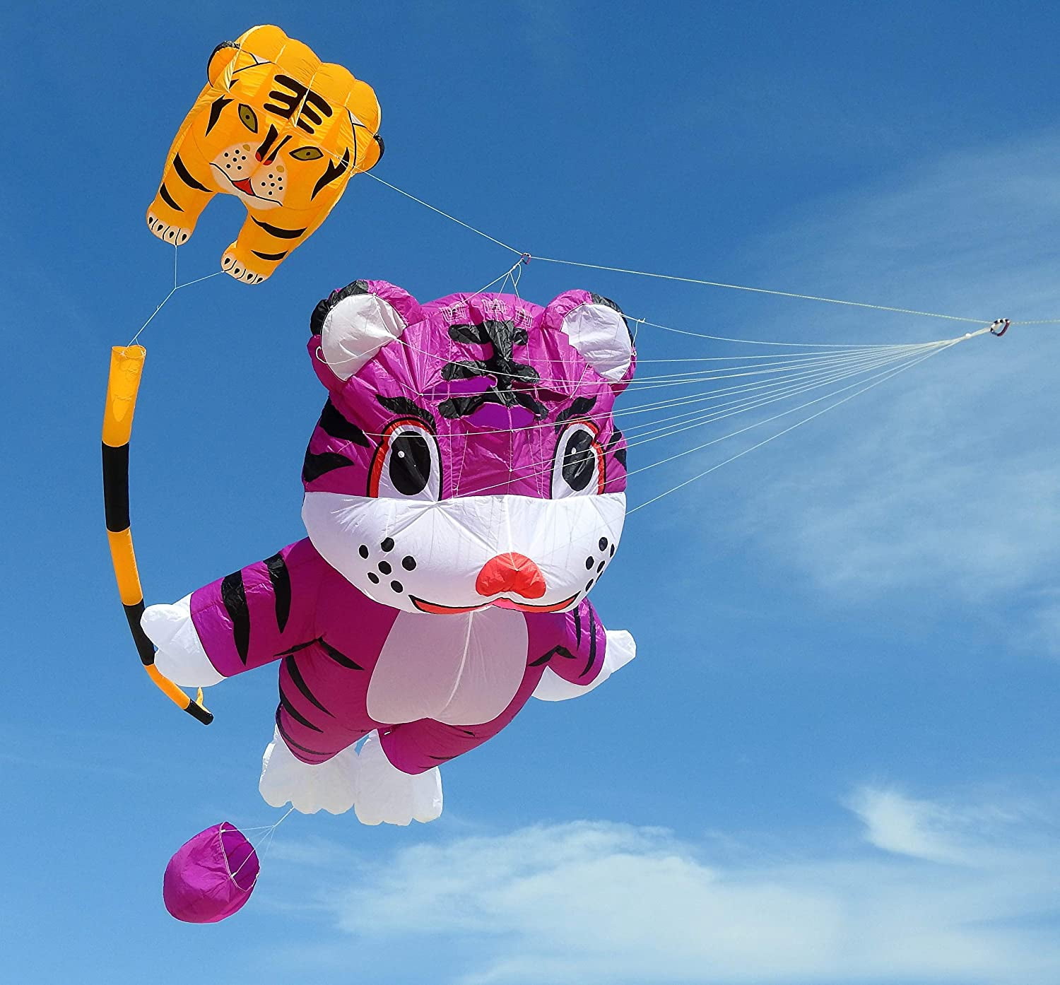 Large 3D Parafoil Kite for Adults and Kids, Easy-Fly Soft Nylon Kite with String and Backpack for Beach Park, 244x39 Inch