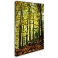 thumbnail image 2 of Trademark Fine Art "Pause" Canvas Art by Philippe Sainte-Laudy, 2 of 3