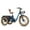 Blue, variant on MAXFOOT MF30 Electric Tricycle for Adults, 750W Rear Drive Motor 3 Wheel Electric Bicycle with Suspension Fork, 85 Miles, 48V 20Ah UL Certified Battery, Fat Tire Electric Trike with Rear Differential