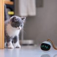 thumbnail image 5 of juguete interactivo para gatos, bola rodante automática para interiores, 5 of 5