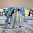 thumbnail image 2 of Orinice Funny Cute Penguin Blanket - Ultra Soft, Cozy, Lightweight, Warm &amp; Fuzzy Throw Blankets, Ideal for Couch, Bed, Travel &amp; Outdoor Use - for Adults Kids Women Men 60x80in, 2 of 6