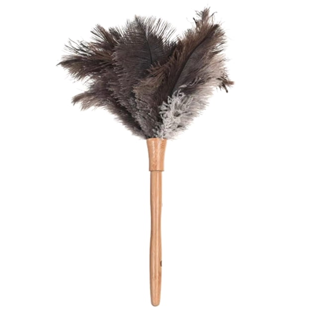 Plumero de plumas de avestruz natural esponjoso Mango de madera Herramienta de limpieza del hogar Tomshoo Plumero