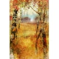 thumbnail image 2 of Roko, Ken 13x18 White Modern Wood Framed Museum Art Print Titled - Splashes of Autumn, 2 of 4