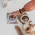 thumbnail image 3 of Dexypaws: Super Chew Rings - Lilac & Sky Blue - 2pc Dog Teething Toys, Aggressive Chewers, Fetch & Tug, Textured Circles, Durable Rubber, Pet Play, 3 of 8