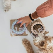 Dexypaws: Super Chew Rings - Lilac & Sky Blue - 2pc Dog Teething Toys, Aggressive Chewers, Fetch & Tug, Textured Circles, Durable Rubber, Pet Play