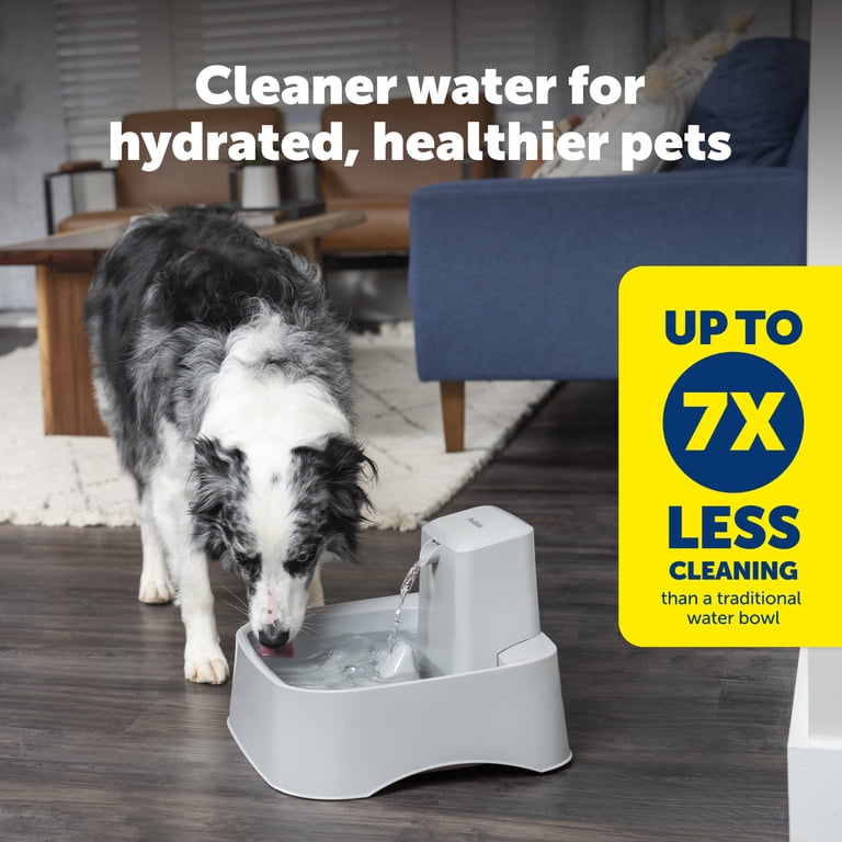 PetSafe Drinkwell 2 Gallon Fountain - Automatic Water Bowl for Large Dogs