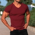 thumbnail image 2 of V Neck T Shirts Men Bodybuilding Muscle Shirts Short Sleeve Workout Tops Lightweight Quick Dry Slim Fit Tees 2025 Red L, 2 of 6