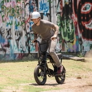 GOTRAX Ranger16 Adult Electric Bike - 36V 20 MPH Speed, 24 Mile Range, 16 x 3 Fat Tires, Moped Style, Black