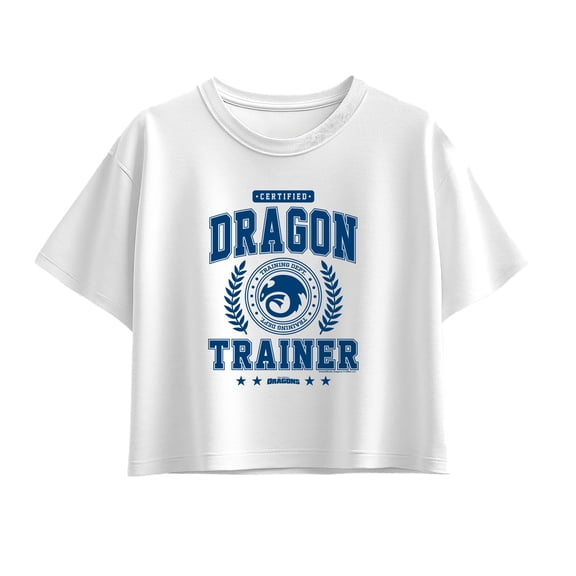 How to Train Your Dragon - Toothless Collegiate Girls' Short Sleeve Boxy Graphic T-Shirt