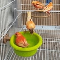 thumbnail image 4 of Jaula multifunción para pájaros, suministros para loros, bañera para canarios, pinzones, periquitos y perchas., 4 of 4