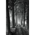 thumbnail image 2 of Podt, Martin 13x18 White Modern Wood Framed Museum Art Print Titled - Forest Path, 2 of 4