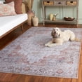 thumbnail image 5 of Safavieh Tucson Nazca Oriental Machine Washable Area Rug, Light Gray/Rust, 2'6" x 4', 5 of 15