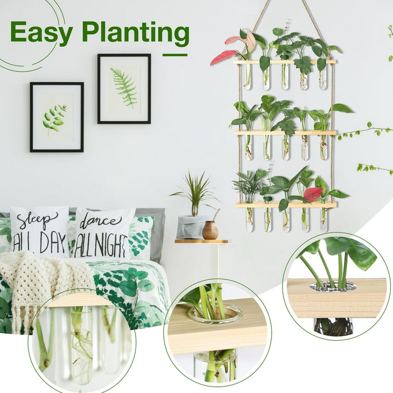 XXXFLOWER Wall Hanging Terrarium Planter with 5 Test Tubes,Wall Planters  for Indoor Plants,Plant Lover Gifts for Women Garden Office Decoration