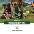 thumbnail image 2 of Adventure Dog Wipes, Pkg./8 - 4 pack, 2 of 7