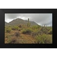 thumbnail image 2 of Popcorn 14x10 Black Modern Framed Museum Art Print Titled - Granite Mountain II, 2 of 5