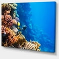 thumbnail image 2 of Beau Poisson Corail de Mer Rouge - Impression sur Toile d'Art de Bord de Mer, 2 of 3