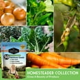 thumbnail image 6 of Vegetable Garden Seeds 50 Variety Collection - Non GMO Heirloom Tomato Seeds & More - Full Sun Annual, 6 of 10