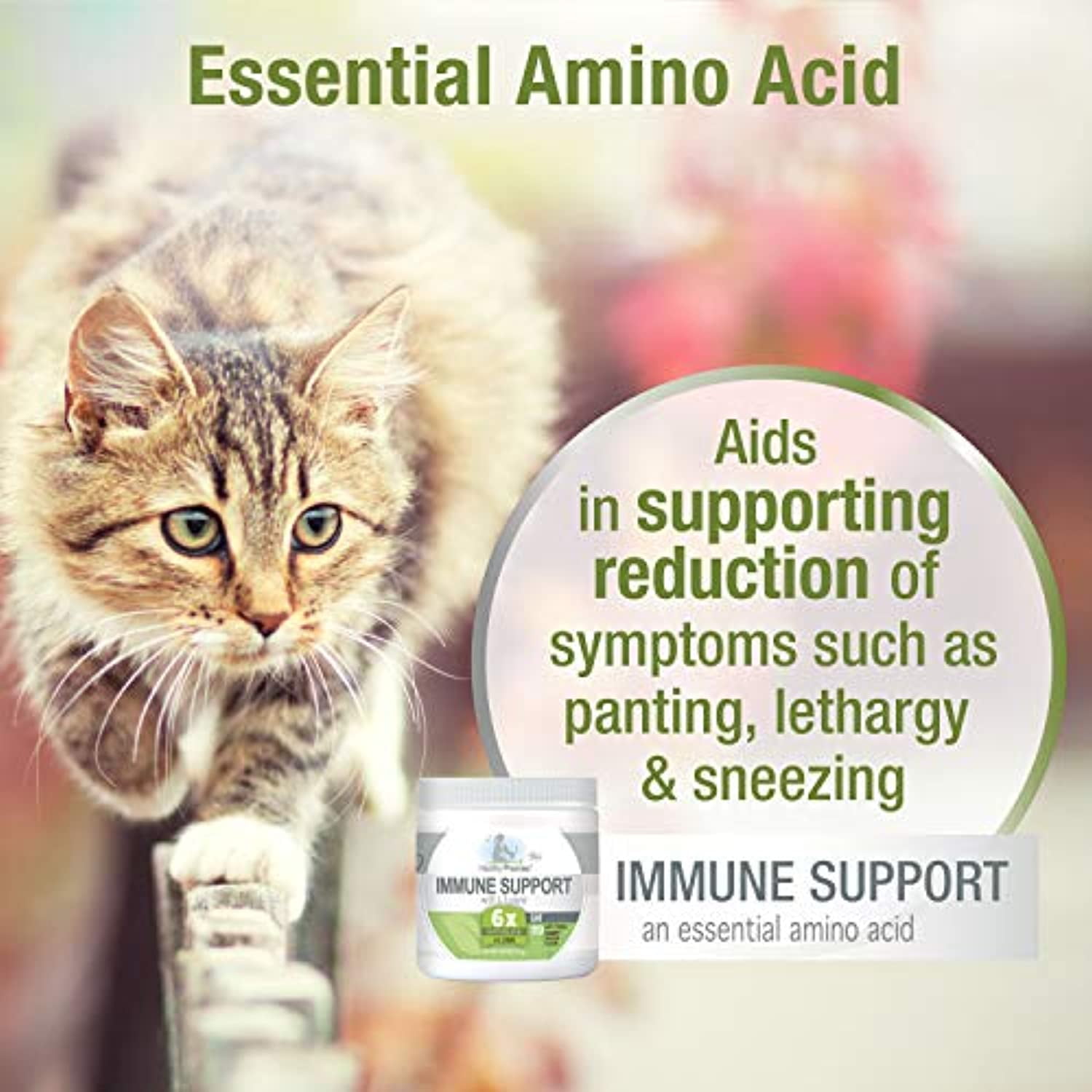 Amino acid outlet supplements for cats