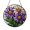 Acrylic 3.5 Inch, variant on Aster Floral Stained Glass Sun Catcher Ornament, Window Hanging Botanical Decor, Thoughtful Gift
