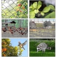thumbnail image 4 of Red de protección para pájaros de 15 m x 15 m, para plantas, estanques y jardines, con agujeros grandes de 5 x 5 cm, Lucky_B, 4 of 5