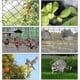 thumbnail image 4 of 15m X 15m Bird Protection Net Bird Net Plant Net Pond Net Garden Net For Garden,5 X 5 Cm Large Holes, 4 of 5