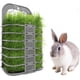 thumbnail image 1 of Conejillos de Indias, comedero para heno y comedero para conejos, chinchillas, conejillos de Indias grandes, animales pequeños, conejos, dispensador de alfalfa gratis, 1 of 5