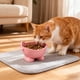 thumbnail image 4 of Ireezec Elevated Cat Food and Water Bowl, Anti-Vomit Slow Feeder, Tilted Design for Neck Support, Whisker Friendly Wide Shallow Dish, Non-Slip Ba, Large Capacity Pet Feeding Station, 4 of 6
