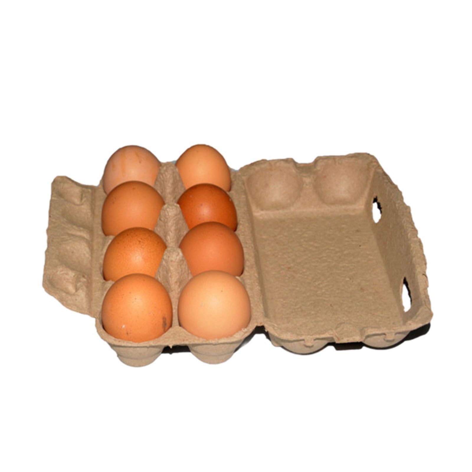 UJMNHYGT 25 Pack Egg Cartons Bulk 8 Count, Empty Natural Paper Pulp Egg Cartons Reusable Strong Sturdy Design, 2x4 Style Cardboard Chicken Egg Crates for Farm Fresh Eggs