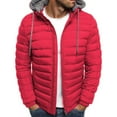 thumbnail image 1 of ITFABS Men Winter Down Jacket, Solid Color Hooded Long Sleeve Zip-Up Outer, 1 of 7
