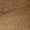 Brown Multi Calf Hair, variant on Orinda Women's Flats Gold Leather Size 12 M