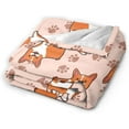 thumbnail image 2 of Yibo Frog Blanket Flannel Fleece Kawaii Stuff for Bed Couch Sofa Chair, 2 of 6