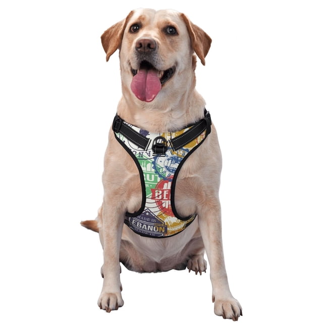 Saiise Travel Stamp Print Dog Harness and Leash Set, No Pull Soft Mesh Pet Harness, Reflective Adjustable Puppy Vest for Small Medium Large Dogs, Cats-Large