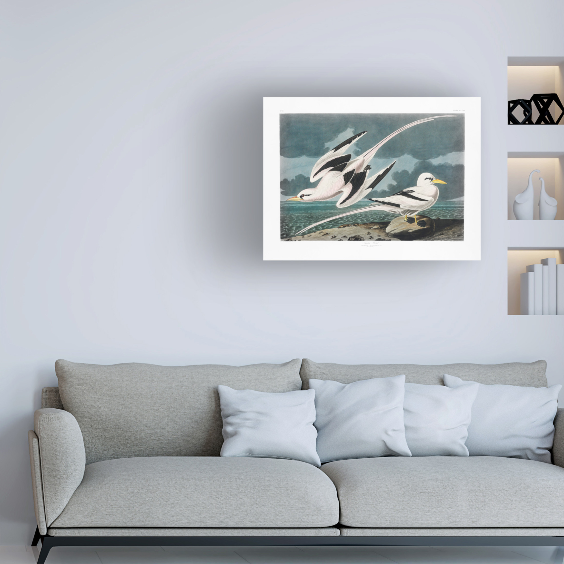 Trademark Fine Art Pictufy   Tropic Bird From Birds of America 1827 Canvas Wall Art