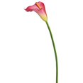 thumbnail image 1 of Vickerman 28" Artificial Orange and Yellow Large Stem Calla Lily, 1 of 1