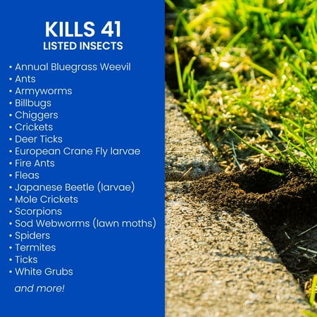 BioAdvanced 700289G Complete Insect Killer for Soil & Turf, 20 lb.